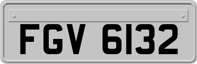 FGV6132