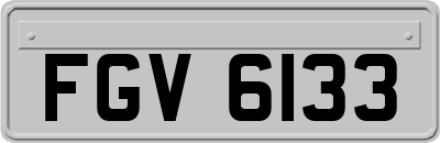 FGV6133