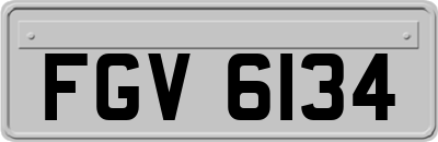 FGV6134