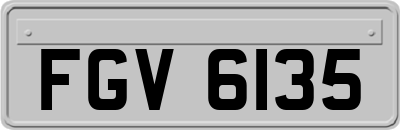 FGV6135