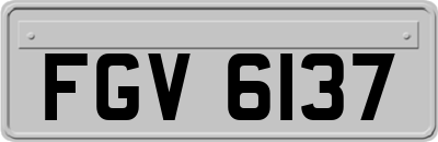 FGV6137