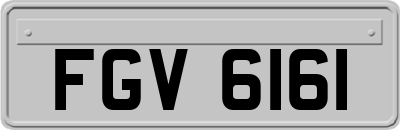 FGV6161