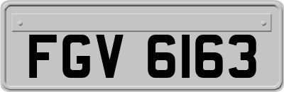 FGV6163