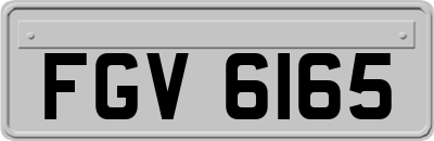 FGV6165