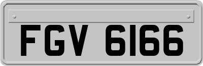 FGV6166