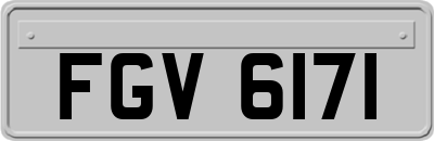 FGV6171