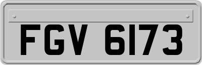 FGV6173