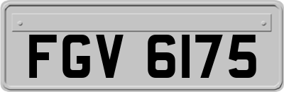 FGV6175