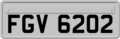 FGV6202