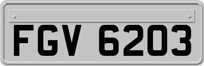 FGV6203