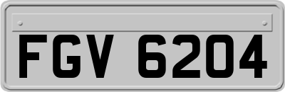 FGV6204