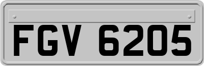 FGV6205