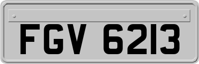 FGV6213