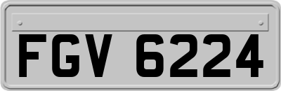 FGV6224