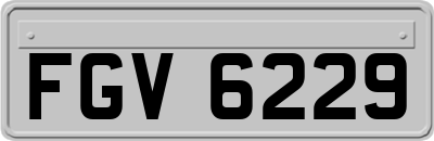 FGV6229