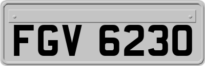 FGV6230