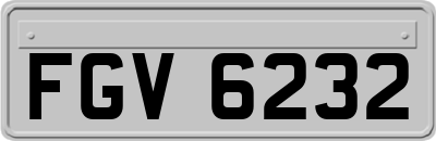 FGV6232
