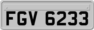 FGV6233