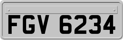 FGV6234