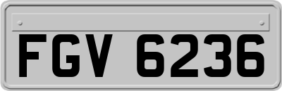 FGV6236