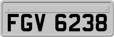 FGV6238