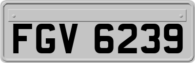 FGV6239