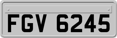 FGV6245