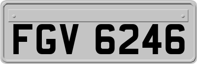 FGV6246