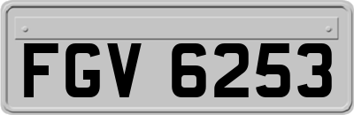 FGV6253
