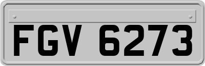 FGV6273