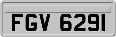 FGV6291