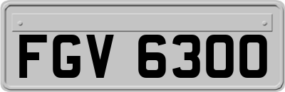 FGV6300