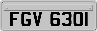 FGV6301