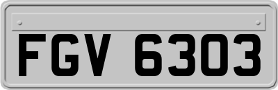 FGV6303