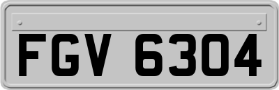 FGV6304