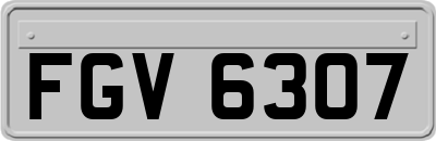 FGV6307