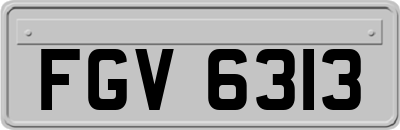 FGV6313