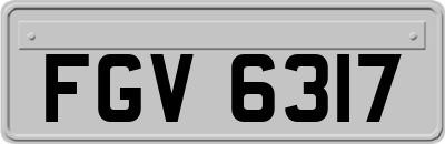 FGV6317