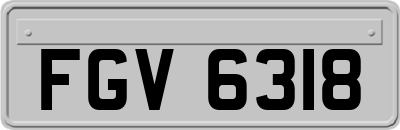 FGV6318