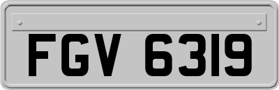 FGV6319
