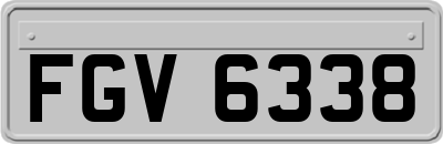 FGV6338