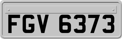 FGV6373