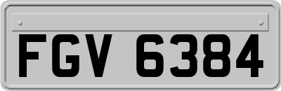 FGV6384