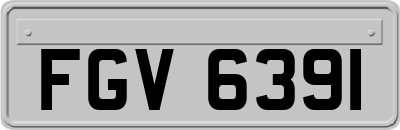 FGV6391