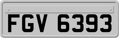 FGV6393