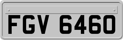 FGV6460