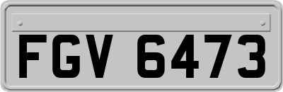 FGV6473