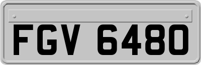 FGV6480