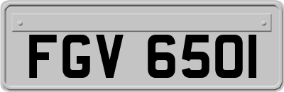 FGV6501
