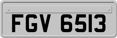 FGV6513